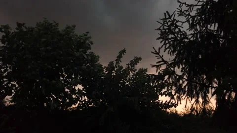 Thunderstorm in the trees in the evening Stock Footage 205131368