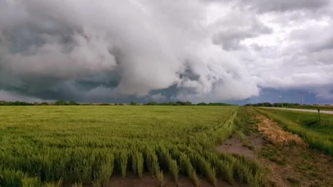 Thunderstorm Windy Nebraska Field Stock Footage 278718827