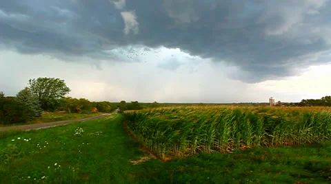 Thunderstorm Wisconsin 動画素材 63845181