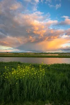 Thundery Shower during Sunset Stock Photos