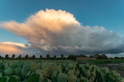 Thundery shower has a dramatic appearance against the blue sky at sunset Stock Photos