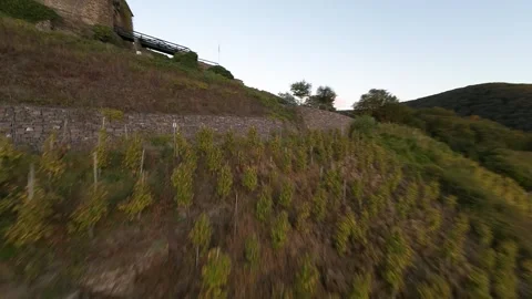 The Thurant Castle, historic castle in the eifel region, on a hill top Stock Footage 293511067