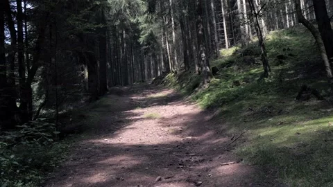 The Thuringian Forest Stock Footage 169858559