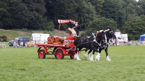 Thwaites Brewery dray, pulled by a pair of shire horses Lancashire Show 2017. Stock Footage 117545591