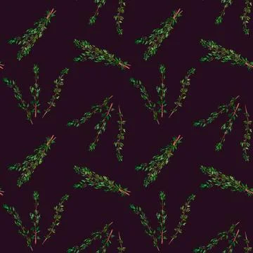 Thyme aromatic herb. Seamless pattern for prints on wallpaper, textiles, di.. Stock-Illustration