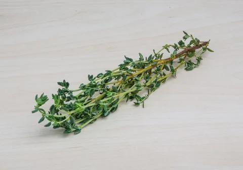 Thyme branch Stock Photos