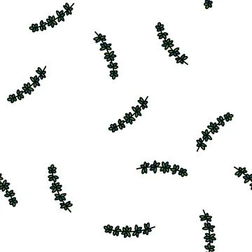 Thyme branch vector seamless pattern Illustrazione stock