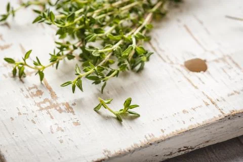 Thyme branches on a light background Stock Photos
