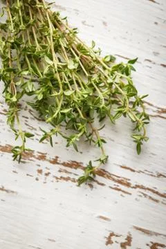 Thyme branches on a light background Stock Photos