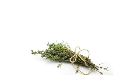 Thyme bunch on white background 写真素材