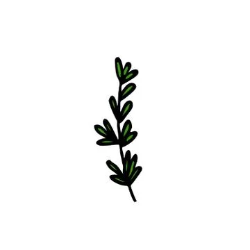 Thyme doodle icon, vector illustration Stock Illustration