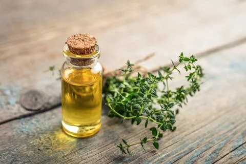 Thyme essential oil 写真素材