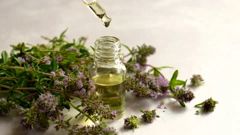 Thyme essential oil in a small bottle. Selective focus. Stock Footage 155788768