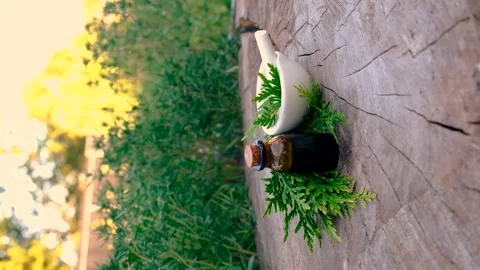Thyme extract in a bottle. Selective focus. Stock Footage 289463831