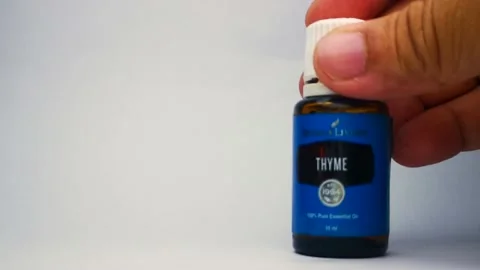 THYME Stock Footage 143097055