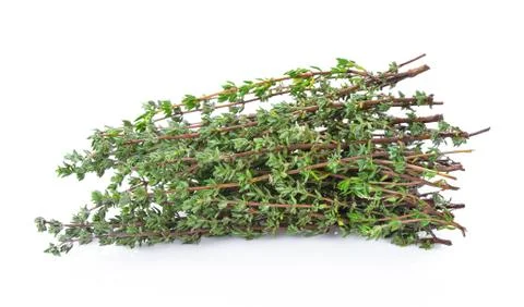 Thyme herb on white background Stock Photos