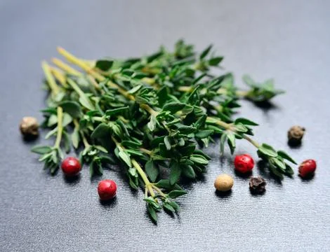 Thyme herbs Stock Photos