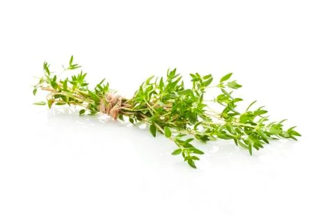 Thyme isolated. Stock Photos
