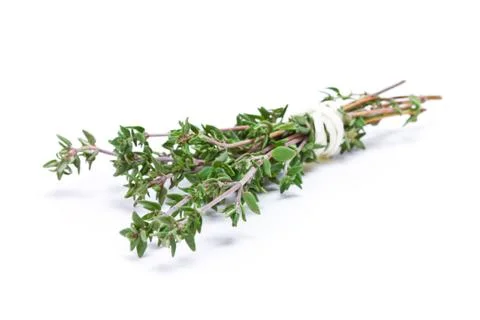Thyme isolated Stock Photos