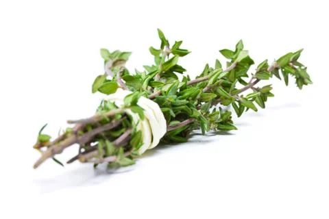 Thyme isolated Stock Photos