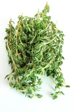 Thyme isolated on white background Stock Photos