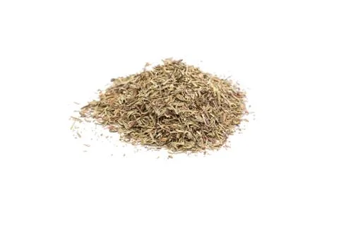 Thyme isolated on a white background. Stock-Fotos