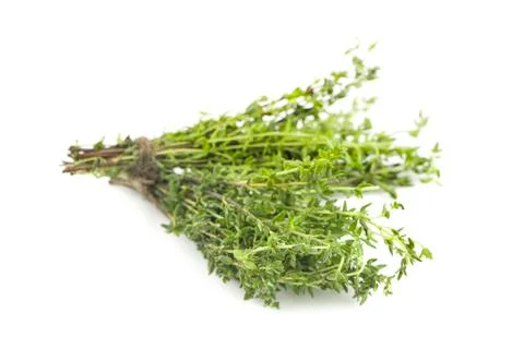 Thyme isolated on white background. Stock Photos