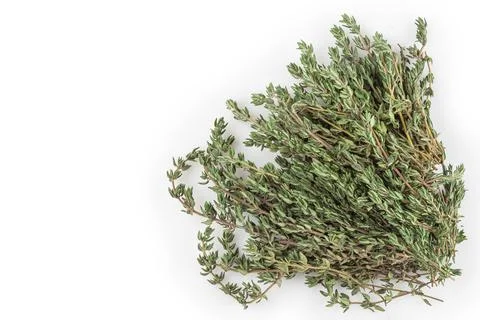Thyme isolated on white background. Foto stock