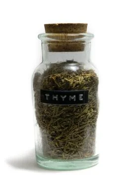Thyme isolation Stock Photos
