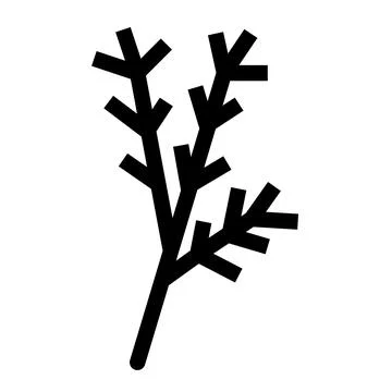Thyme leaves outline Stock Illustration