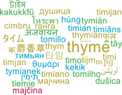 Thyme multilanguage wordcloud background concept Stock Illustration