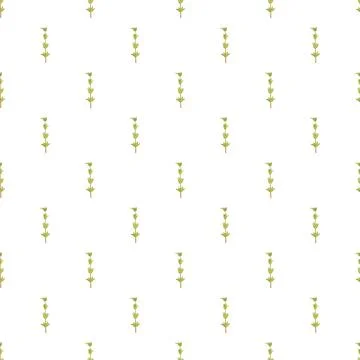 Thyme pattern creating a minimalist repeating herbal background Stockillustratie