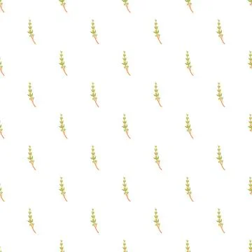 Thyme pattern creating a seamless herbal background 库存插图