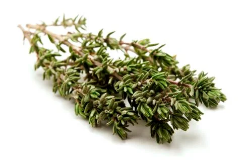 Thyme Stock Photos