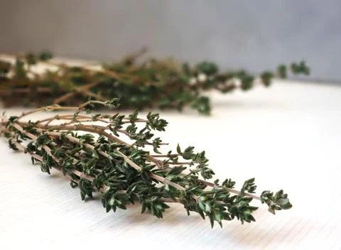 Thyme 库存照片