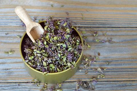 Thyme Stock Photos