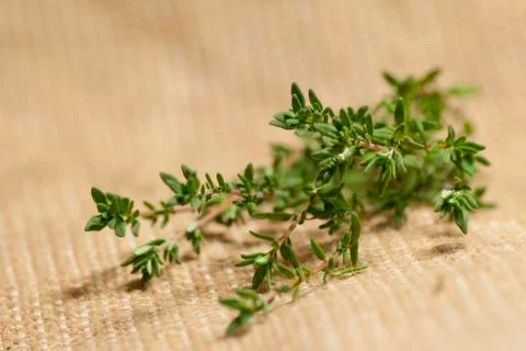 Thyme on sacking Stock Photos