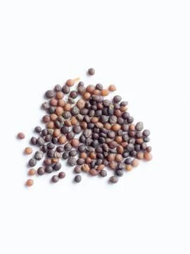 Thyme seed Stock Photos