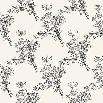 Thyme sketch seamless pattern. Hand drawn food ingredient. Illustrazione stock