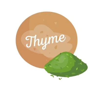 Thyme Spices and Label Poster Vector Illustration Stock Illustration