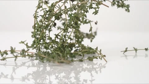 Thyme Sprigs Bunch Bouncing Slow Motion White Tabletop Closeup Macro Food Studio Stock Footage 335005038