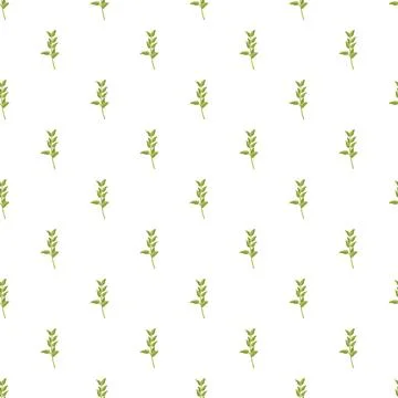Thyme sprigs creating a seamless pattern on white background 库存插图