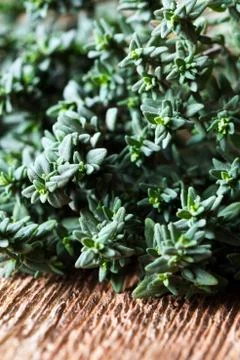 Thyme sprigs Stock Photos