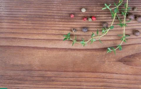 Thyme sprigs Foto stock