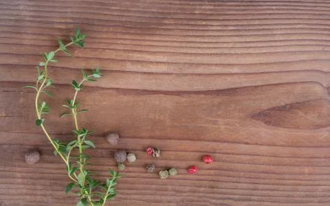 Thyme sprigs Stock-Fotos