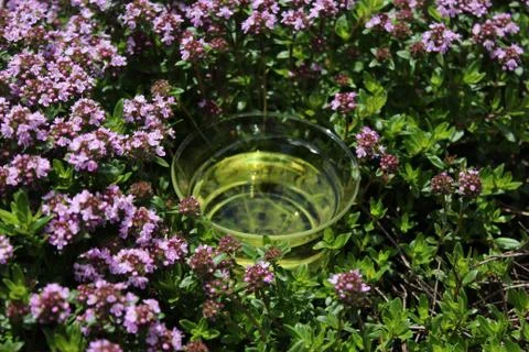Thyme tea and blossoming thyme Stock Photos