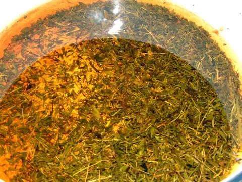 Thyme tea in a pot Stock Photos
