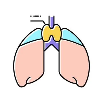 Thymus endocrinology color icon vector illustration 스톡 일러스트