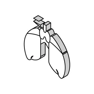 Thymus endocrinology isometric icon vector illustration 스톡 일러스트