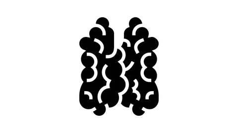 Thymus of immune system glyph icon animation Stock Footage 224850186